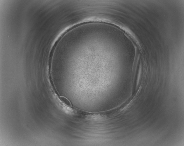 X0000081560896200701221024