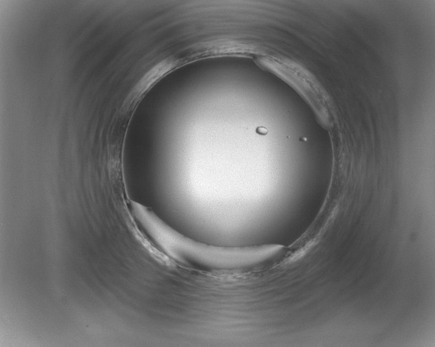 X0000081560897200701221024