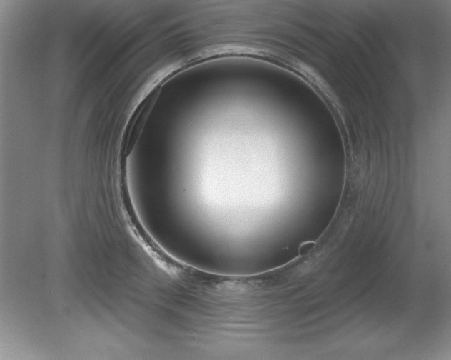 X0000081560898200701221024