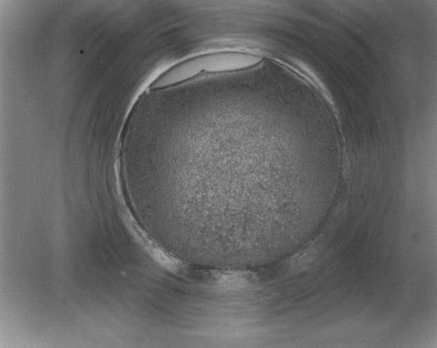 X0000081560899200701221024