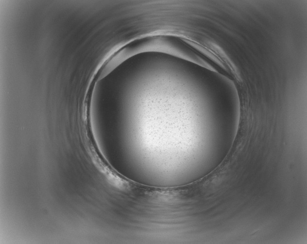 X0000081560900200701221024