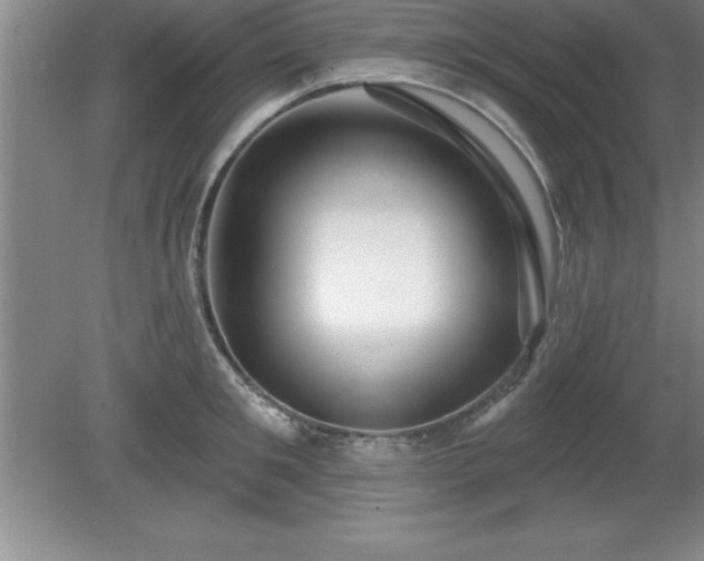 X0000081560901200701221024