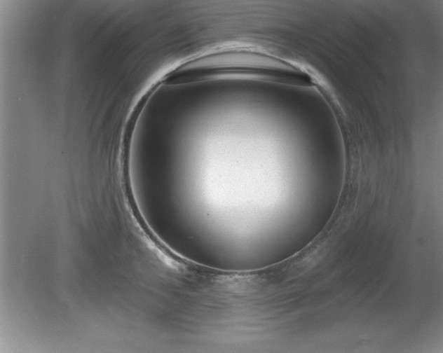 X0000081560902200701221024