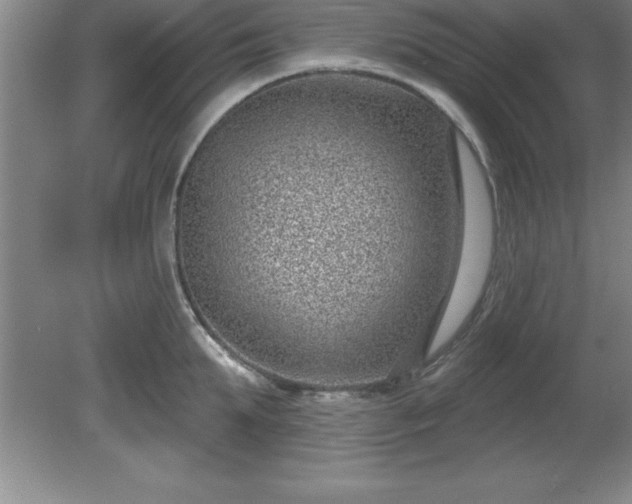 X0000081560903200701221024