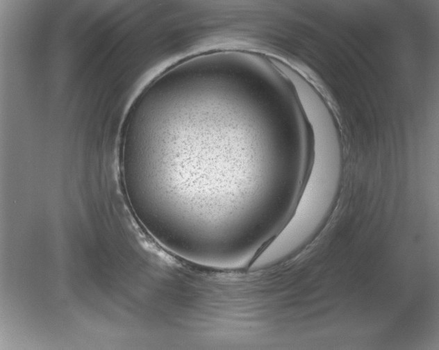 X0000081560904200701221024