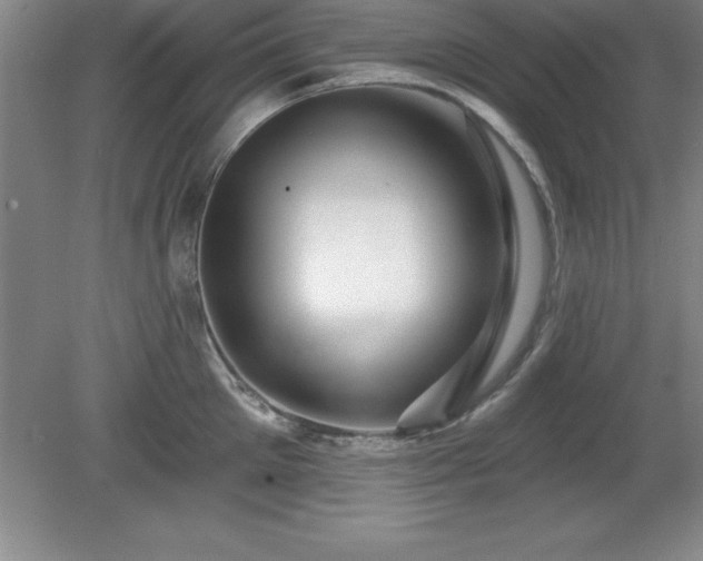 X0000081560905200701221024