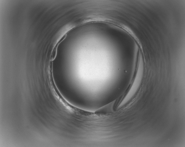 X0000081560906200701221024