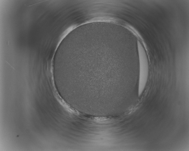 X0000081560907200701221024