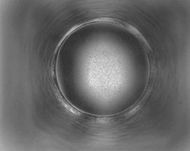 X0000081560908200701221024