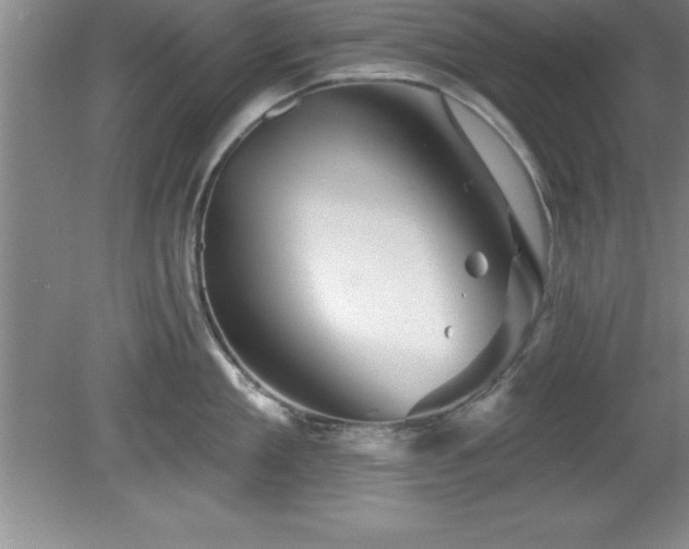 X0000081560909200701221024