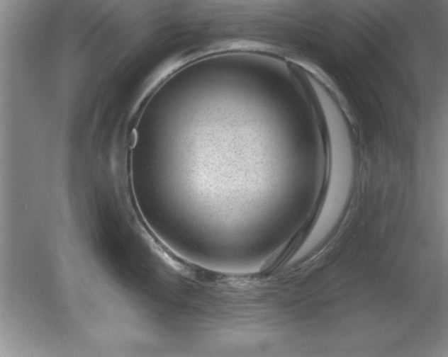 X0000081560910200701221024