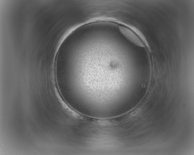 X0000081560911200701221024