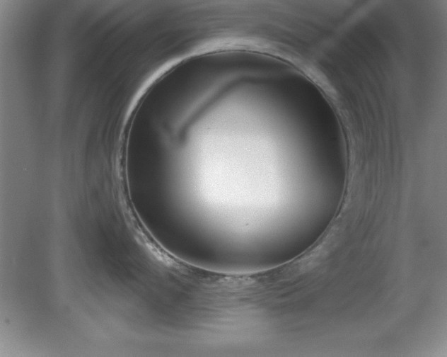 X0000081560912200701221023