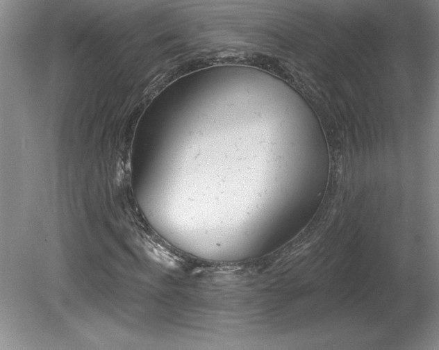 X0000081560916200701221023