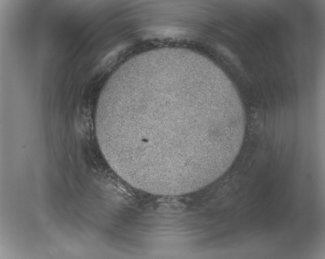 X0000081560918200701221023