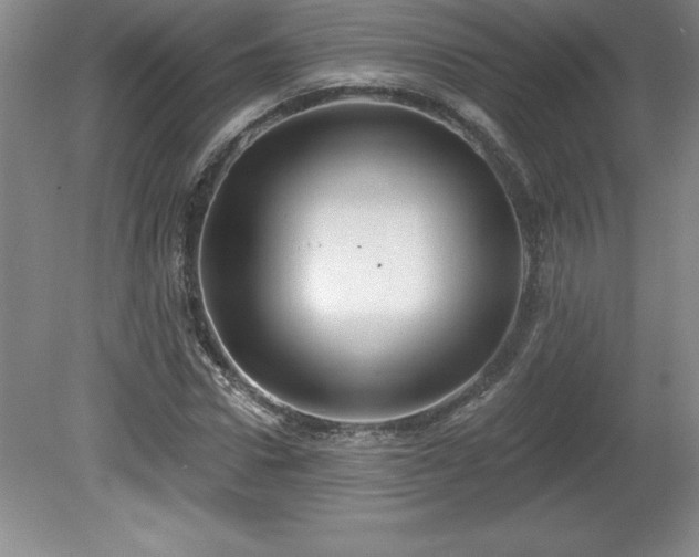 X0000081560922200701221023