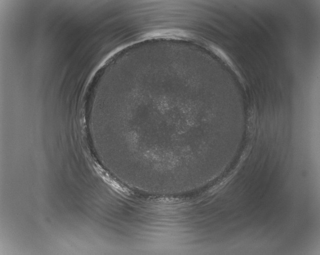 X0000081560923200701221023