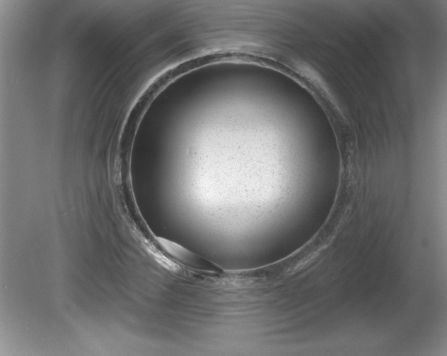 X0000081560924200701221023