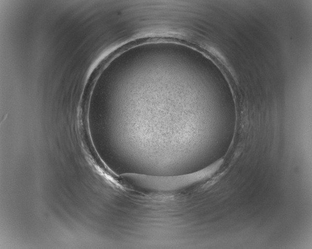 X0000081560928200701221023