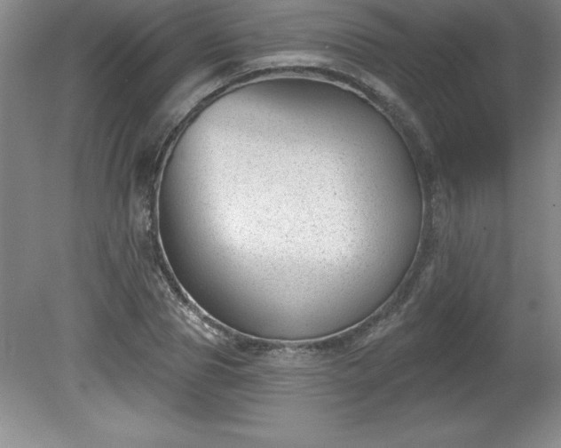 X0000081560929200701221023