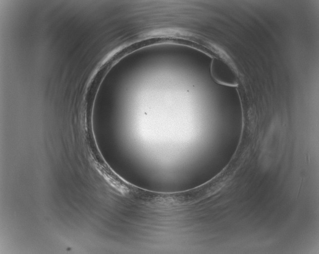 X0000081560931200701221023