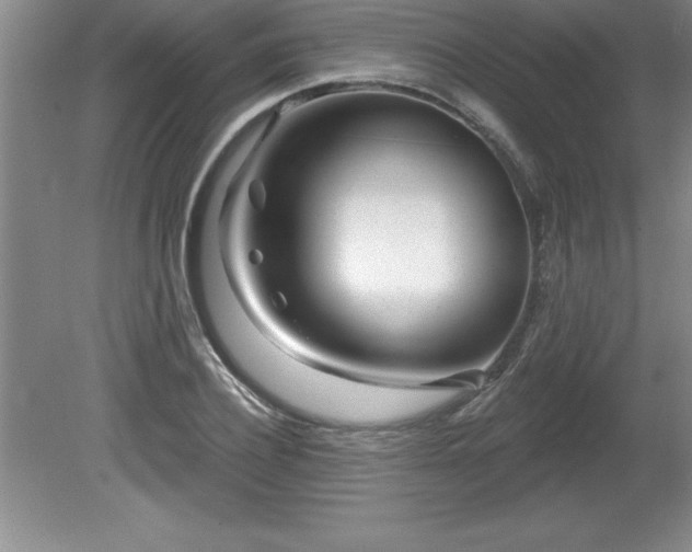 X0000081560932200701221023