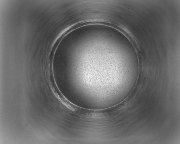 X0000081560933200701221023