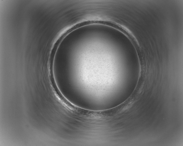 X0000081560935200701221023