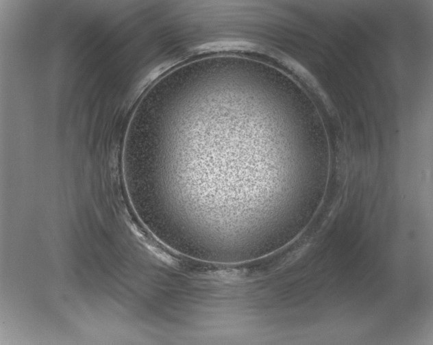 X0000081560937200701221023