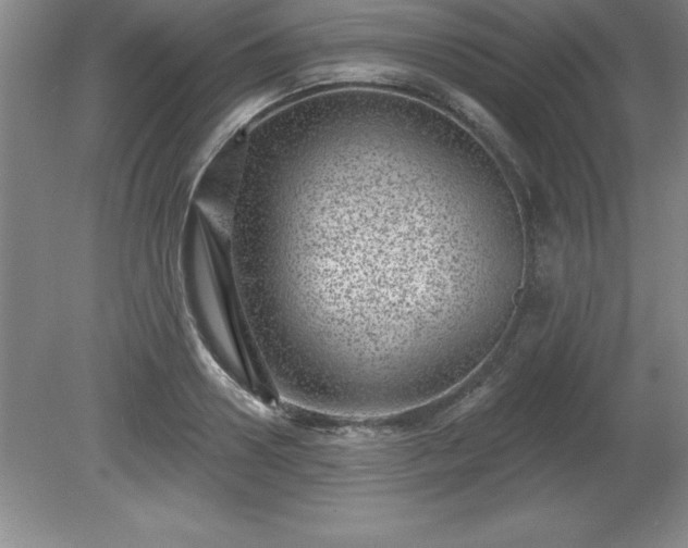 X0000081560938200701221023