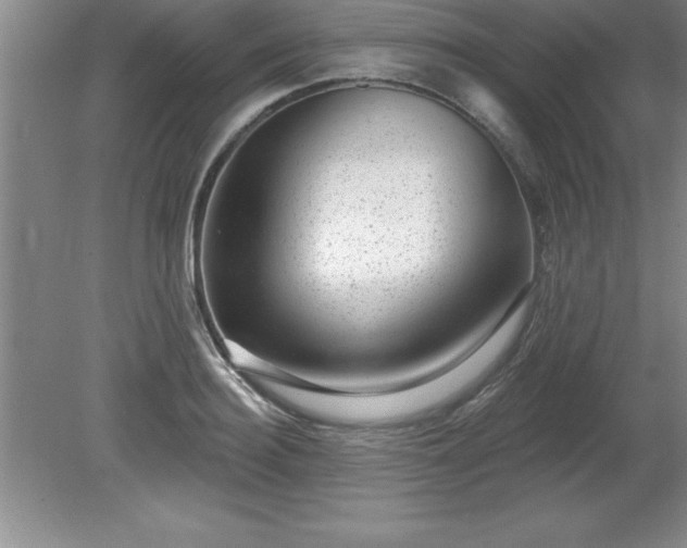 X0000081560940200701221023