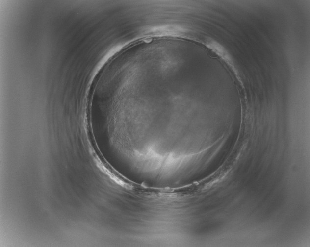 X0000081560941200701221023