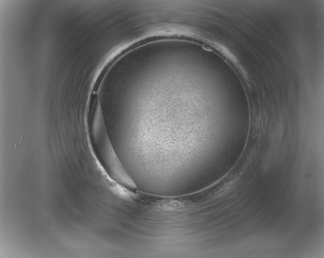 X0000081560943200701221023