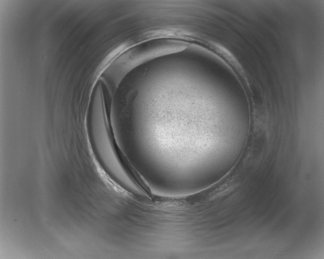 X0000081560946200701221023