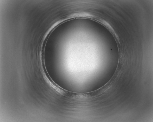 X0000081560947200701221023