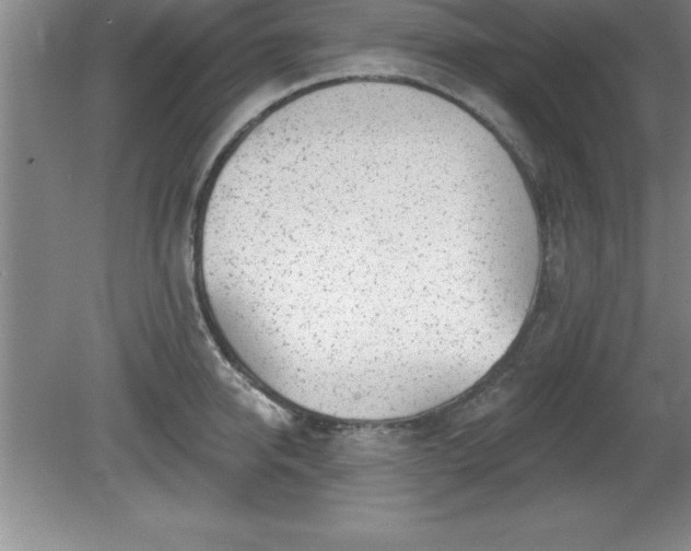 X0000081560950200701221023