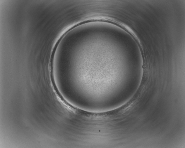 X0000081560951200701221023