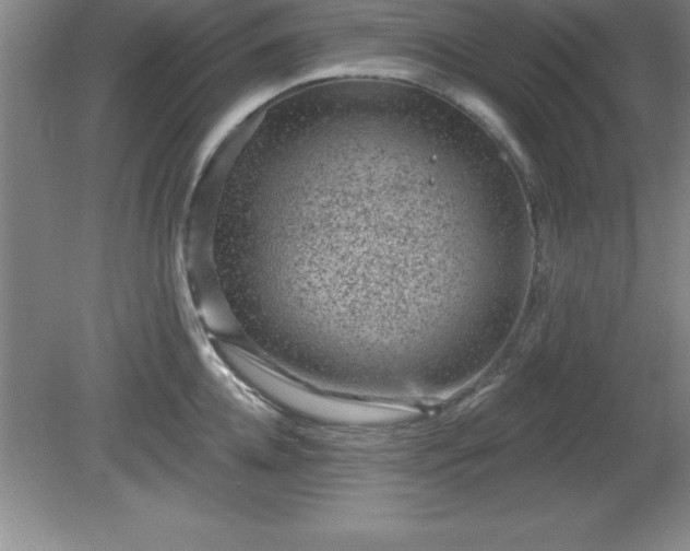 X0000081560952200701221023