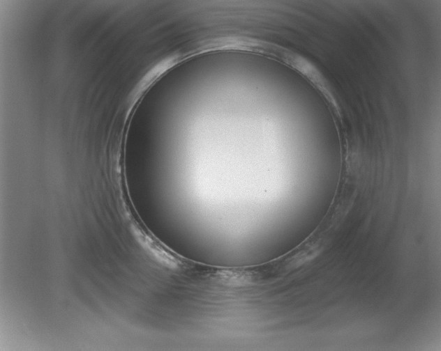 X0000081560954200701221023