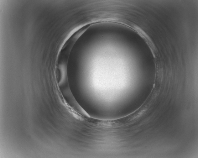 X0000081560956200701221023