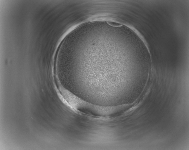 X0000081560957200701221023