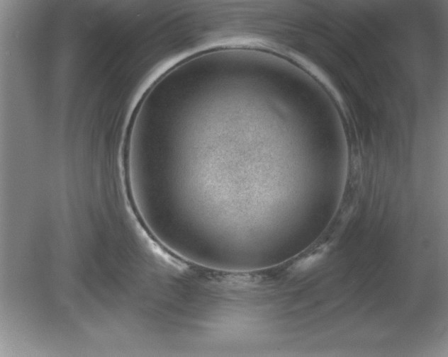 X0000081560959200701221023