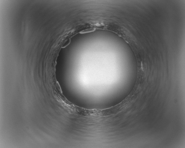 X0000081560961200701221023