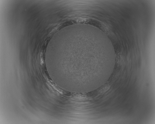 X0000081560962200701221023