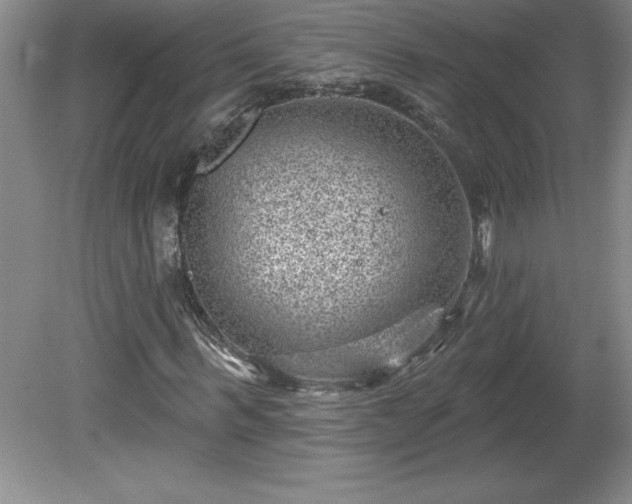 X0000081560963200701221023