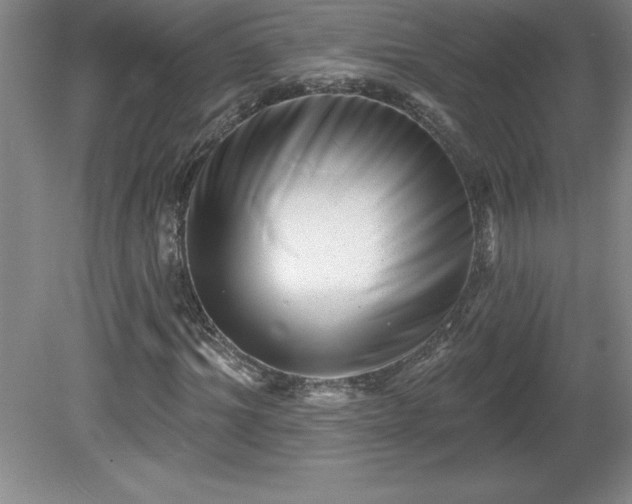 X0000081560964200701221023