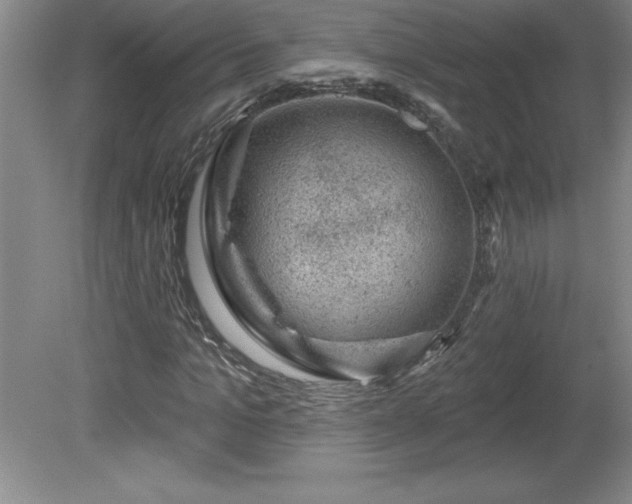 X0000081560965200701221023