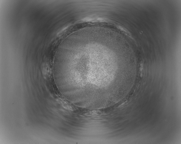 X0000081560966200701221023