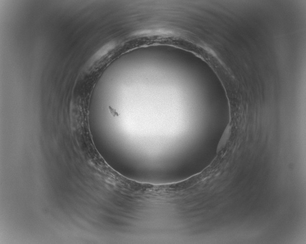 X0000081560967200701221023