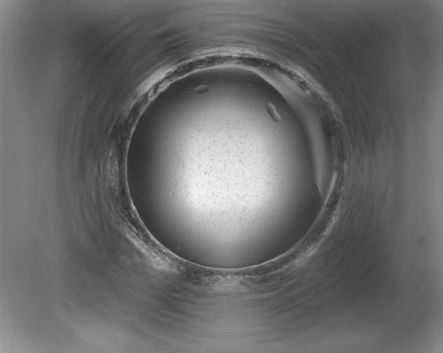 X0000081560969200701221023